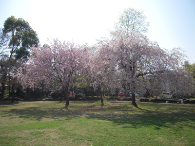 a0134136_23341441.jpg