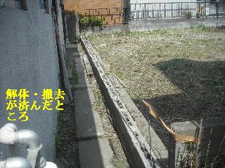 f0031037_19113362.jpg