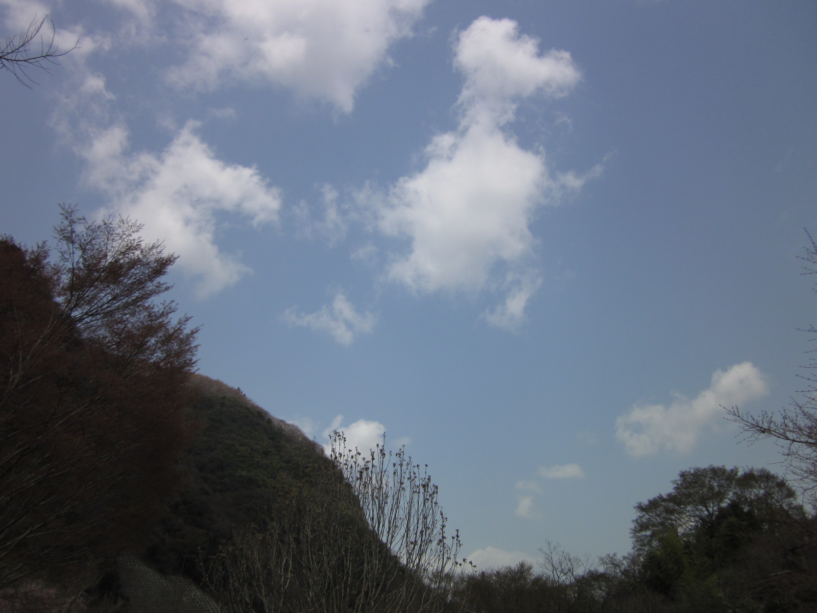 a0162251_11355890.jpg