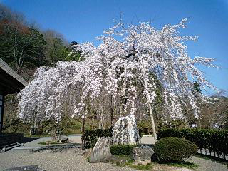 清水寺＆安国寺_b0186959_2165298.jpg