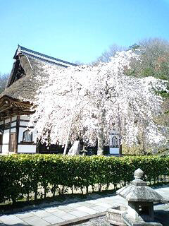 清水寺＆安国寺_b0186959_217125.jpg