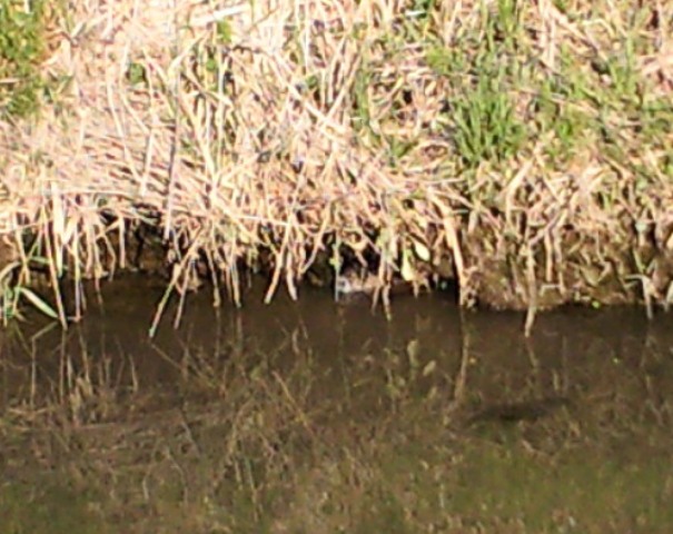 e0223862_1813082.jpg
