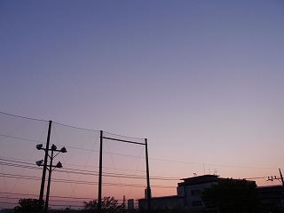c0199166_85331.jpg