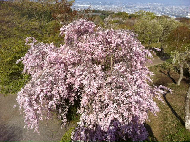 c0226166_0334570.jpg
