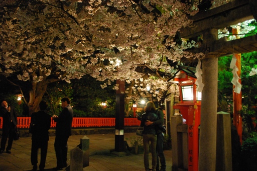 京都たび（夜桜編）_f0189867_1572536.jpg