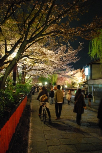 京都たび（夜桜編）_f0189867_1573779.jpg