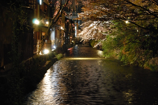 京都たび（夜桜編）_f0189867_157951.jpg