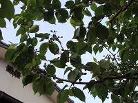 b0204768_2213178.jpg