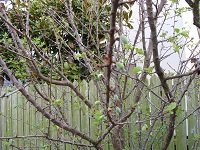 b0204768_22132591.jpg