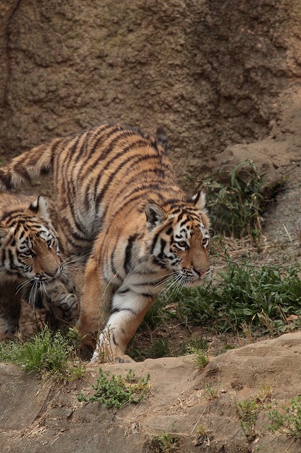 a0188771_751103.jpg