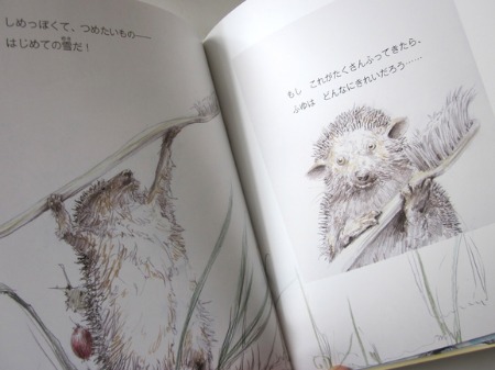 No.548「リスとはじめての雪」Sold : 海の古書店