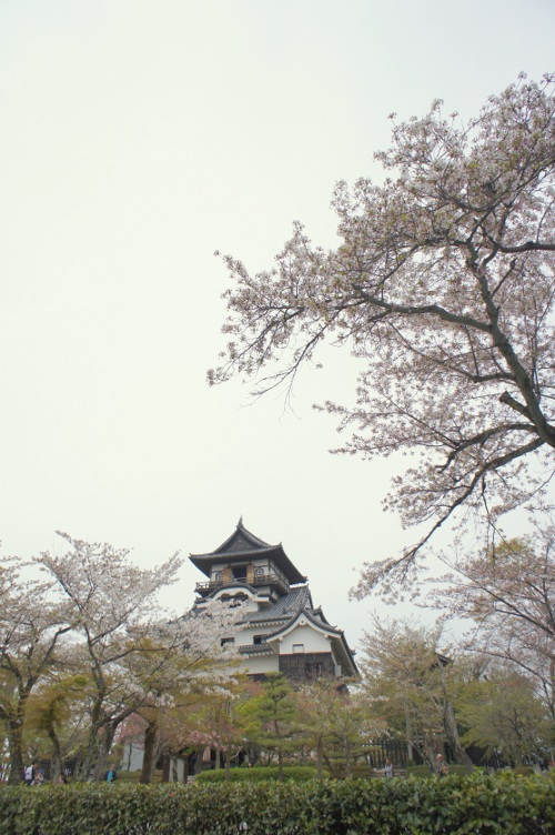 d0146888_18315211.jpg