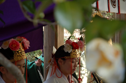 椿まつり（玉椿明神　玉列神社　桜井市）→エール・ダンジュ（桜井市・ケーキ店）_b0100489_729154.jpg