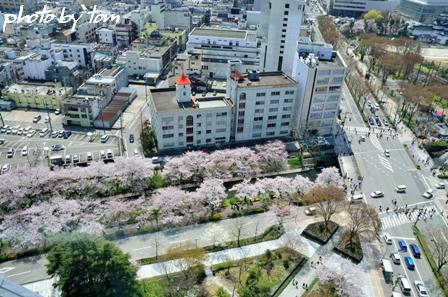 富山散歩～県東部145～春の日暮し松川「桜三昧」3_b0155692_21201222.jpg