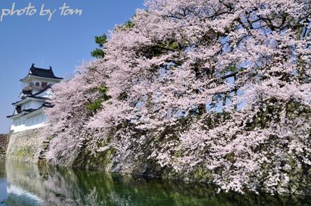 富山散歩～県東部145～春の日暮し松川「桜三昧」3_b0155692_21214473.jpg