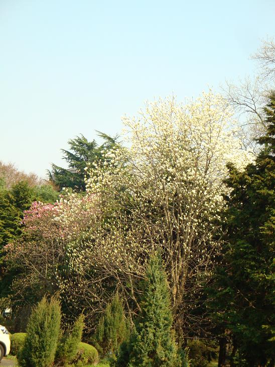 f0075595_0123658.jpg