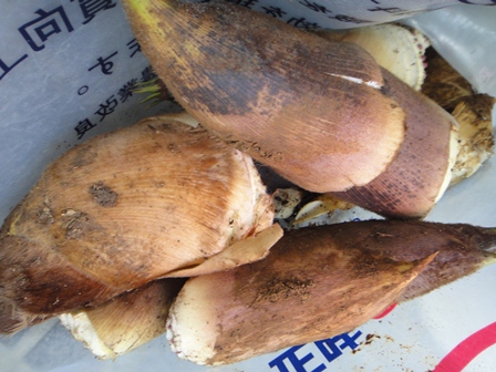 e0143298_8453685.jpg