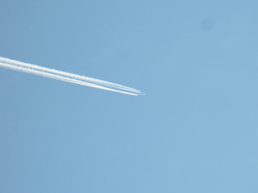 b0055202_20115851.jpg