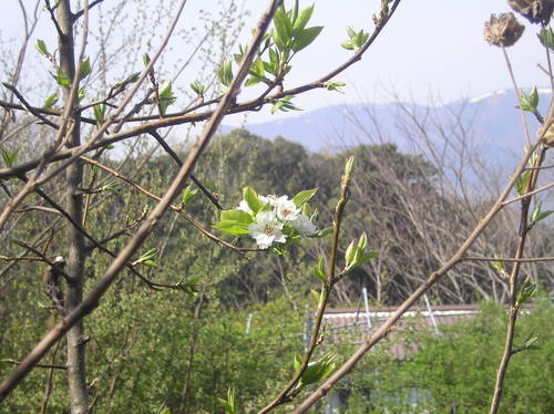 c0156104_23571427.jpg
