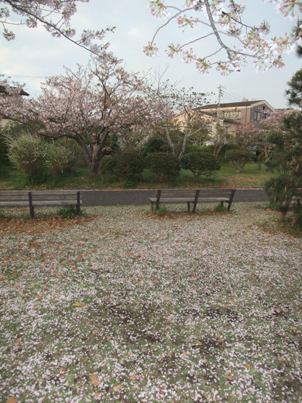 4月１６日　　また地震・玉葱のサラダ_c0067508_2314977.jpg