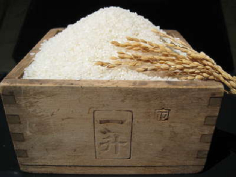 。。。。。美味しいお米。。。。。 _d0135908_17264375.jpg