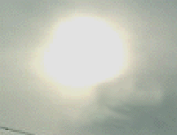 e0103408_18465242.gif