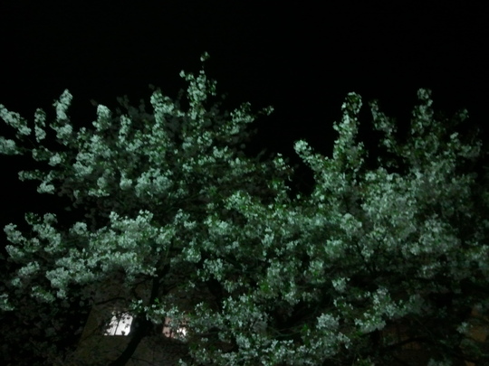 f0225108_21582632.jpg