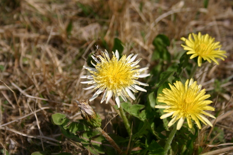 a0159009_2035897.jpg