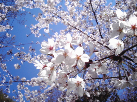 b0042310_0375511.jpg