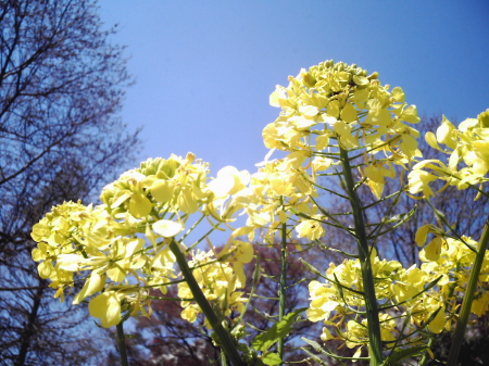 b0042310_0545926.jpg