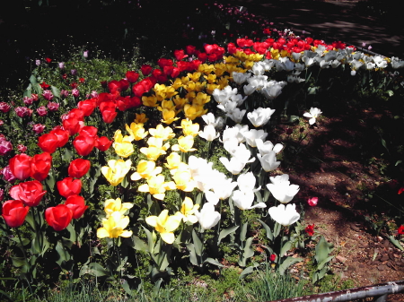 b0042310_10334.jpg