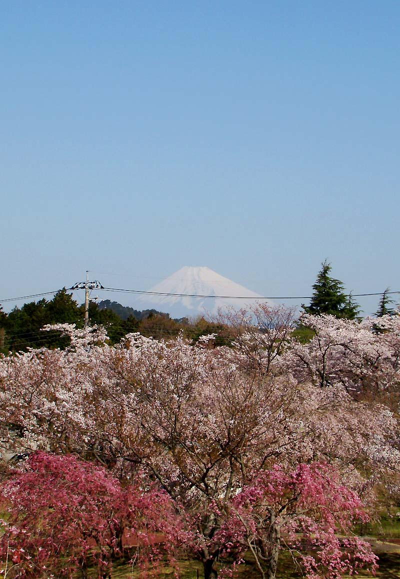 e0034012_1121253.jpg