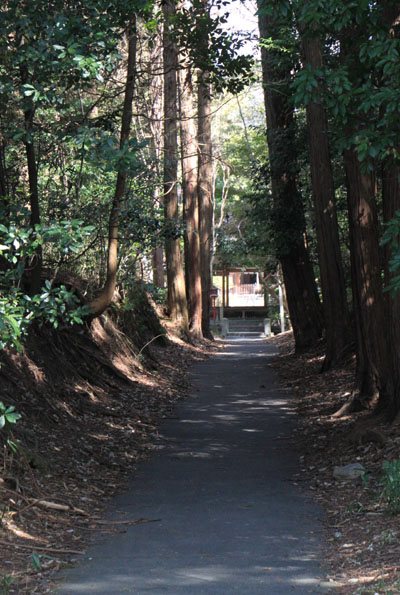 京の花だより 鷺の森神社など_e0048413_20122798.jpg
