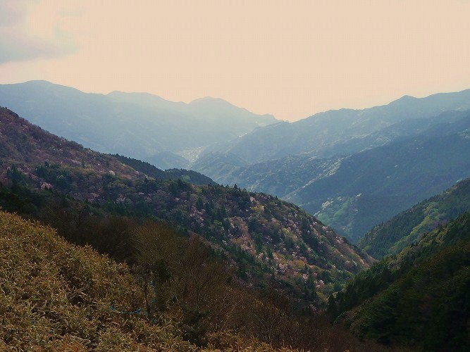 f0182513_9242735.jpg