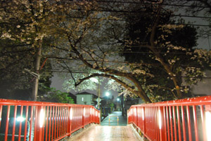 a0031714_224171.jpg