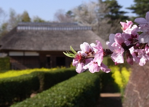 新勝寺～千葉県房総のむら_c0223117_23393064.jpg