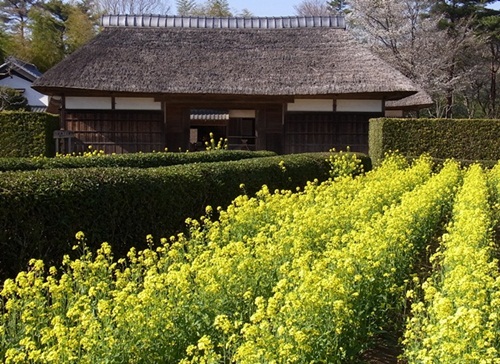 新勝寺～千葉県房総のむら_c0223117_23395045.jpg