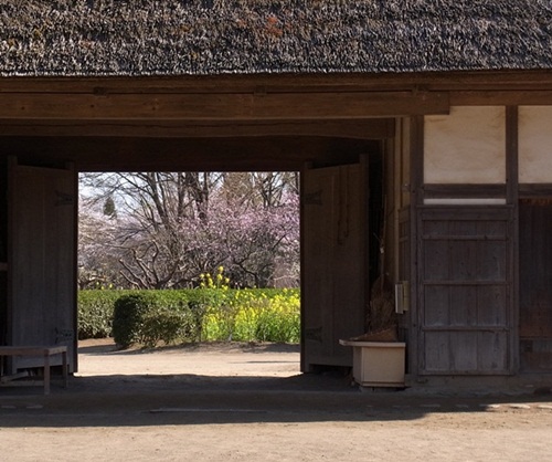 新勝寺～千葉県房総のむら_c0223117_23403379.jpg