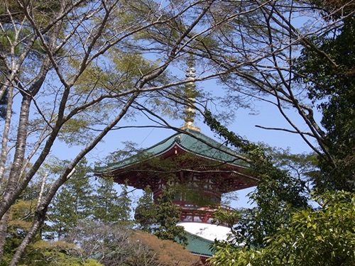 新勝寺～千葉県房総のむら_c0223117_23462779.jpg