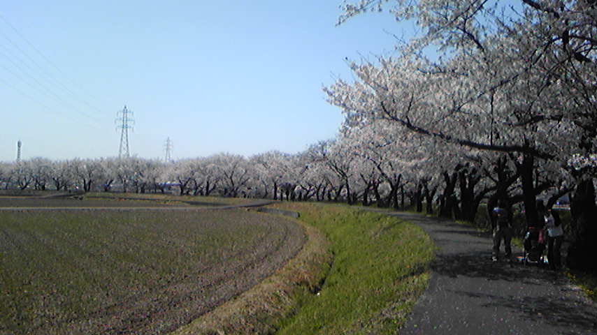 d0004717_5432326.jpg