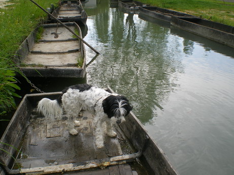 c0124619_320341.jpg