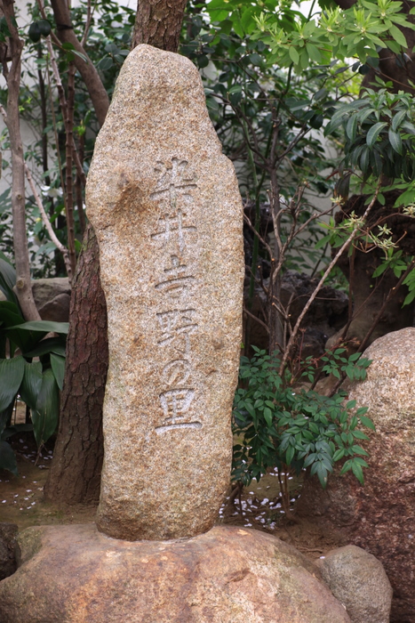 b0165522_74786.jpg