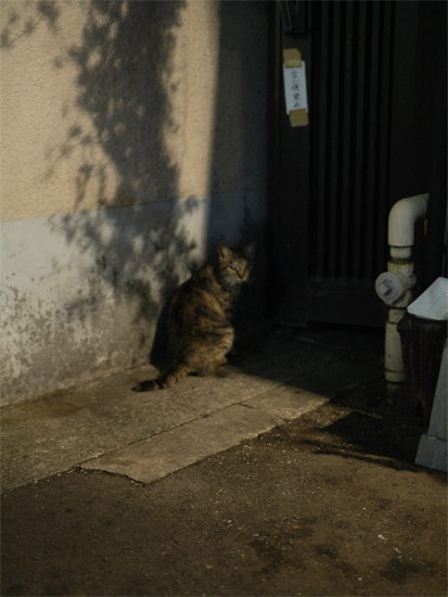e0205625_2132110.gif
