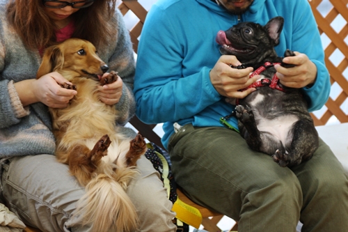 パピーパーティー 2011\' Feb.①_e0191026_23505550.jpg