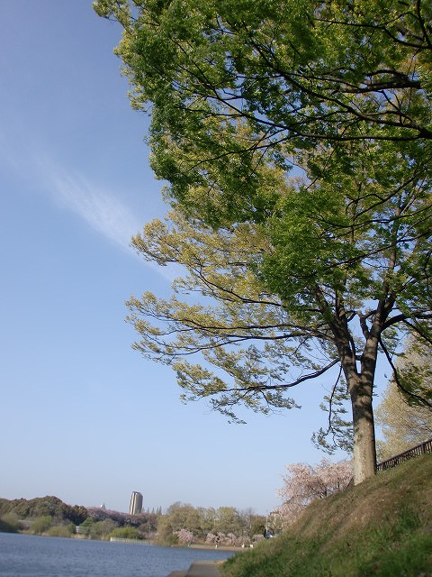 a0148431_22132711.jpg