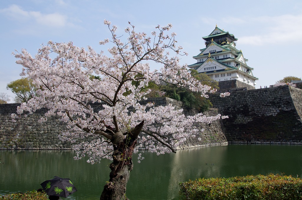 桜づくし　　桜ノ宮～大阪城_c0106831_10593779.jpg