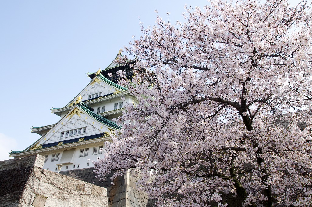 桜づくし　　桜ノ宮～大阪城_c0106831_110497.jpg