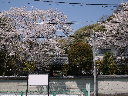 f0232136_1310018.jpg