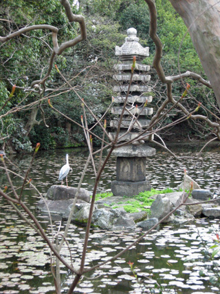 日本の桜5 京都、渉成園_f0234936_1482681.jpg