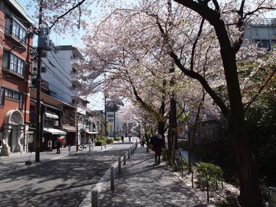 桜の歩き巡り2011・高瀬川編_d0079440_1234516.jpg